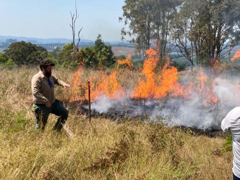 Man conducting cultural burn on grass