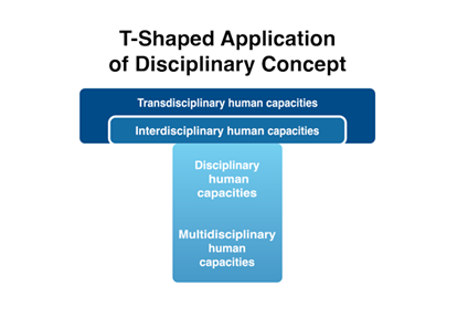 Graphic of t-shaped application of disciplinary concept